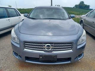 2010 Nissan Maxima 3.5 SV - Exterior Front Center Image